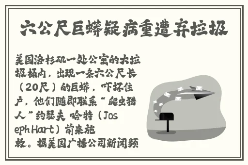 旧版本草莓视频下载