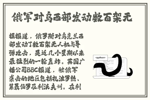 金银瓶**在线还款